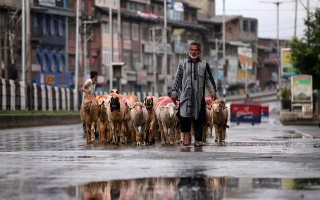 A man walks with a herd of sheep in a deserted road during restrictions after the government scrapped special status for Kashmir, in Srinagar August 8, 2019. (Photo by Danish Ismail/Reuters)