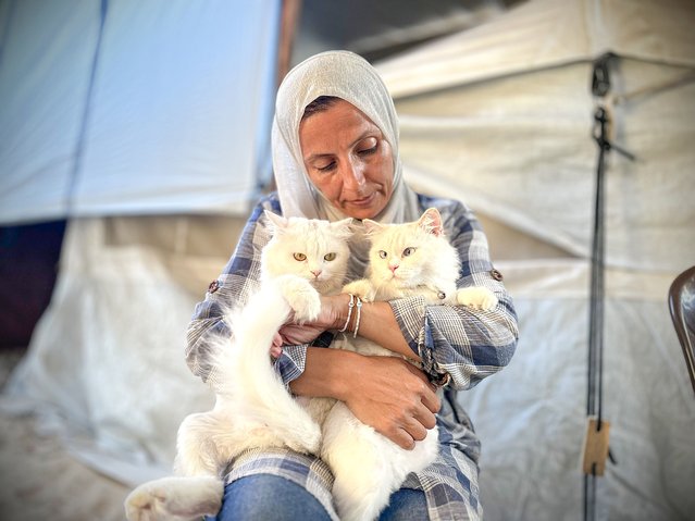 Palestinian Suhad Abu Dhaka looks after two cats despite difficult conditions, financial difficulties and the ongoing Israeli attacks in Khan Yunis, Gaza on August 7, 2024. Created in 2002 by the International Fund for Animal Welfare (IFAW), International Cat Day is a celebration and takes place on August 8th of every year. (Photo by Doaa Albaz/Anadolu via Getty Images)