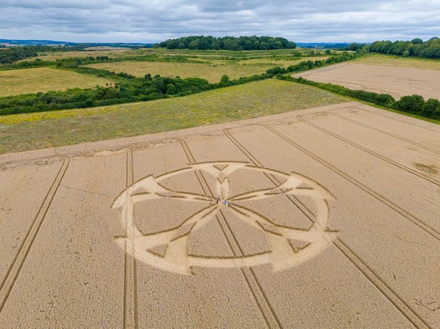 General aerial view of a circular spoked crop circle in a wheat field near Badbury Rings near Wimborne in Dorset, UK on July 24, 2024. The crop circle has attracted visitors, with some taking a picnic in the centre of it. It is unknown when or who it was formed by, but has only been noticed within the last week. (Photo by Graham Hunt/Alamy Live News)