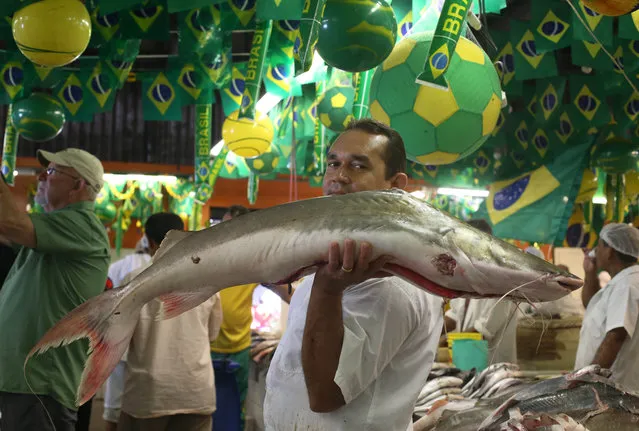 A vendor shows off a fish caught in Rio Amazonas as he works in the old fish market in Manaus, Brazil, Tuesday, June 24, 2014. Manaus is one of 12 cities hosting matches during the 2014 World Cup soccer tournament. (Photo by Martin Mejia/AP Photo)
