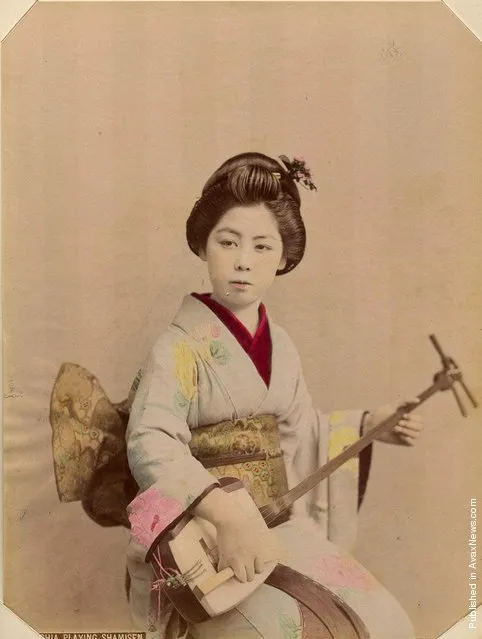 Geisha Playing Shamisen