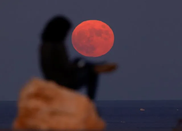 A woman sits on a rock as the full moon, known as the Hunter's Moon, rises at l-Ahrax Point on Marfa Ridge, outside the village of Mellieha, Malta on October 20, 2021. (Photo by Darrin Zammit Lupi/Reuters)