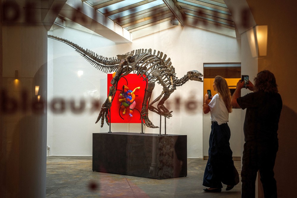 Pictures of the Year 2023, Part 173/224