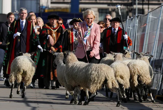 Television presenter Mary Berry is accompanied by freemen of the City of London as she opens the wool fair by walking sheep across London Bridge in London, UK on September 24, 2017. (Photo by Eddie Keogh/Reuters)