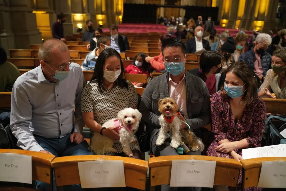 USA last Week, Part 1/2