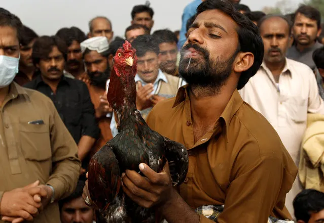 The owner of a rooster sprays water on the head of his bird to help it cool down after a cock fight in Fateh Jang, Pakistan November 3, 2017. (Photo by Caren Firouz/Reuters)