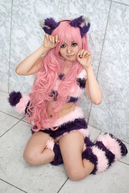 Cute Japanese Cosplay Girls. Cheshire Cat