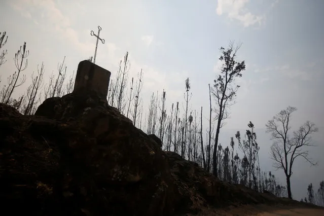 A cross is seen next to a road after a forest fire near Sao Pedro do Sul, Portugal August 14, 2016. (Photo by Rafael Marchante/Reuters)