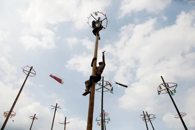 Participants climb a greased pole to collect vouchers for prizes during a “Panjat Pinang” event organised in celebration of Indonesia's 71st Independence day in Jakarta, Indonesia August 17, 2016. (Photo by Darren Whiteside/Reuters)