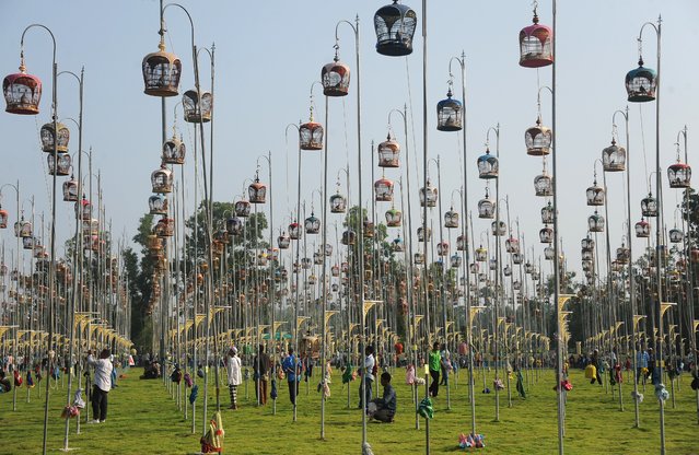 Birds sit in their cages during a bird-singing contest in Thailand's southern province of Narathiwat on September 20, 2015. Over one thousand birds from Thailand, Malaysia and Singapore take part in the traditional contest. (Photo by Madaree Tohlala/AFP Photo)