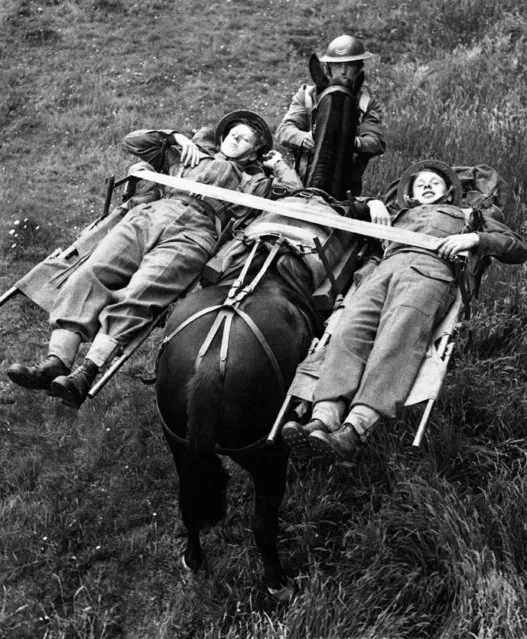 These British soldiers demonstrate how to climb a mountain lying down as they travel in an airborne stretcher on a Johnston carrier in England, September 30, 1944, much as panniers were once slung across the backs of horses. It is part of the latest in mountain warfare equipment. (Photo by AP Photo)