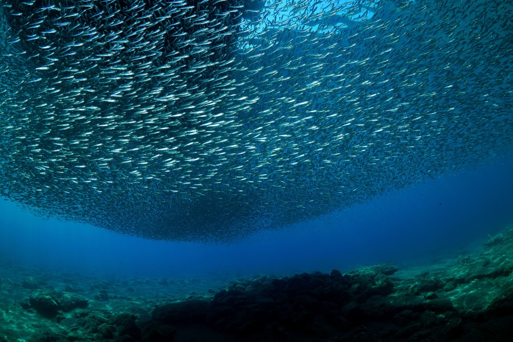 Some Photos: Waterworld