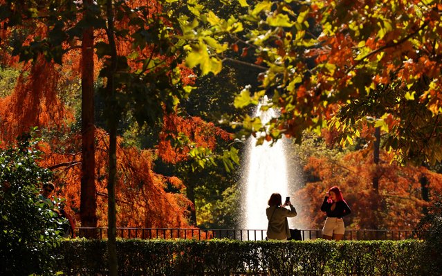 People take pictures surrounded by the fall colours of trees in the Retiro Park, central Madrid on November 5, 2022. (Photo by Thomas Coex/AFP Photo)