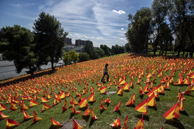 A woman walks among the Spanish flags placed in memory of coronavirus (COVID-19) victims in Madrid, Spain, Sunday, September 27, 2020. An association of families of coronavirus victims has planted what it says are 53,000 small Spanish flags in a Madrid park to honor the dead of the pandemic. (Photo by Manu Fernandez/AP Photo)
