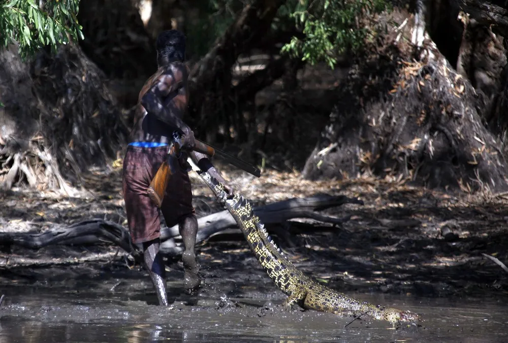 Aboriginal Crocodile Hunters