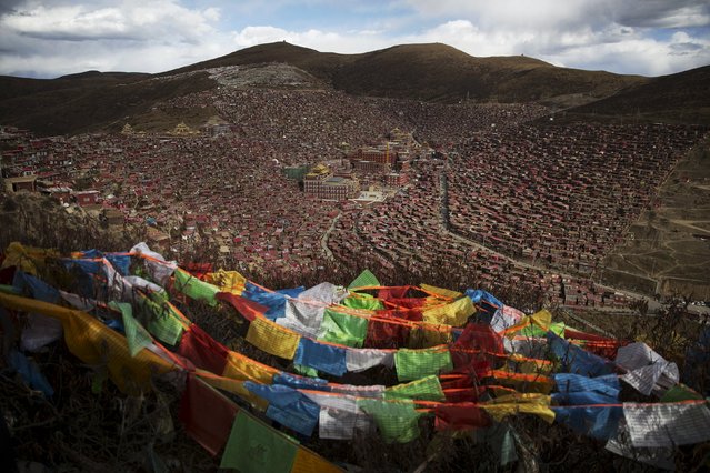 Tibetan prayer flags flutter above the Larung valley and its Larung Wuming Buddhist Institute, located some 3700 to 4000 metres above the sea level in remote Sertar county, Garze Tibetan Autonomous Prefecture, Sichuan province, China October 30, 2015. (Photo by Damir Sagolj/Reuters)