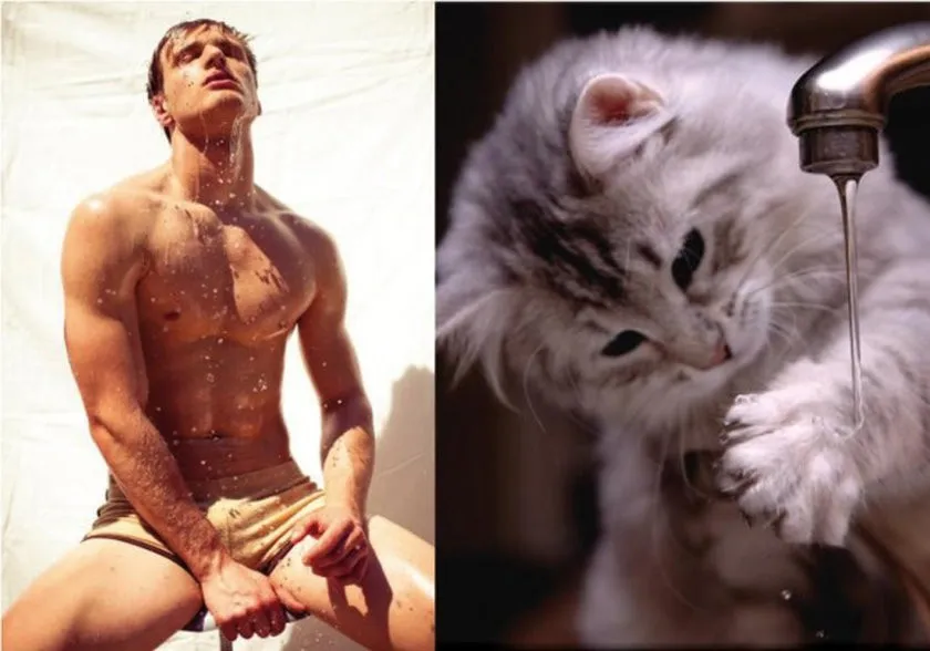 Hot Guys and Cats Striking Part3