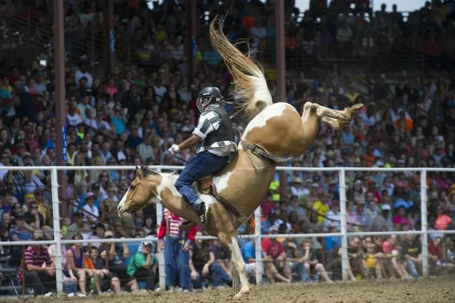 An inmate competes in the “Bareback Riding” during the Angola Prison Rodeo at the Louisiana State Penitentiary on April 27, 2014 in Angola, Louisiana. (Photo by Cooper Neill/Getty Images)