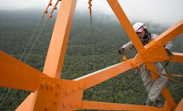 A worker paints the Amazon Tall Tower Observatory (ATTO) in Sao Sebastiao do Uatuma in the middle of the Amazon forest in Amazonas state January 10, 2015. (Photo by Bruno Kelly/Reuters)