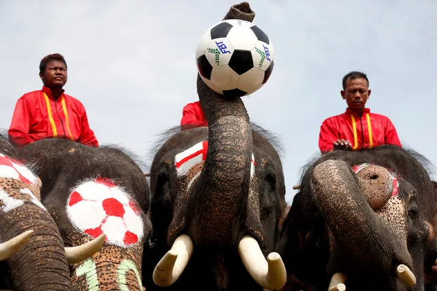 Elephants play soccer during an anti-gambling campaign for school children in Ayutthaya, Thailand June 12, 2018. (Photo by Soe Zeya Tun/Reuters)