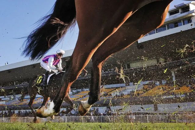 Back markers are seen in race 8 the Schweppes Handicap duringSydney Racing at Rosehill Gardens on June 04, 2022 in Sydney, Australia. (Photo by Mark Evans/Getty Images)