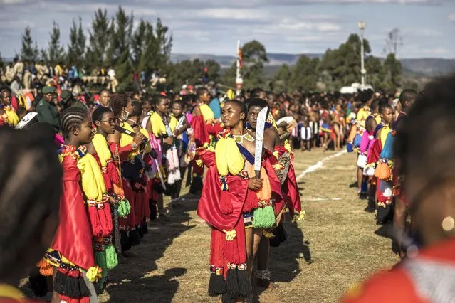 Swati maidens gather at the arena during the 2023 Umhlanga Reed Dance ceremony, at the Mbangweni Royal Residence on October 14, 2023. (Photo by Marco Longari/AFP Photo)