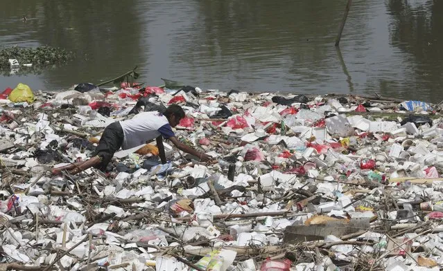 A scavenger collects plastic materials to sell at recycling plants on the river in Cikarang, West Java, Indonesia, Thursday, August 12, 2021. (Photo by Achmad Ibrahim/AP Photo)