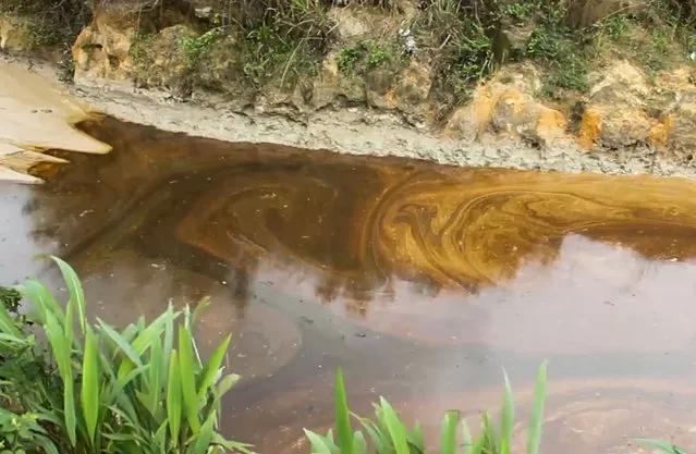 In this grab taken from video, oil from a spill pollutes the Okuku river, in Ogoniland, Nigeria, June 16, 2023. An oil spill at a Shell facility in Nigeria has contaminated farmland and a river. It's upended livelihoods in the fishing and farming communities of part of the Niger Delta, which has long endured environmental pollution caused by the oil industry. (Photo by AP Photo/Stringer)