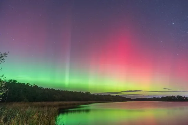 The picture dated November 5, 2023 shows the Aurora over Rollesby Broad in Norfolk, UK. The Aurora Borealis, form when charged particles from the sun penetrate the earth's magnetic field and collide with atoms and molecules to create bursts of light. It is most commonly spotted in Norway and Sweden but recently solar activity has been increasing with the light shows occasionally visible in the skies above the UK. (Photo by Steven Hardiman/Bav Media)