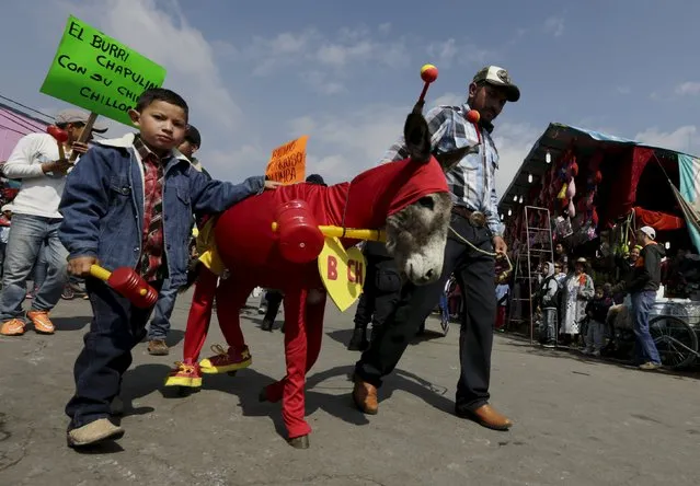 Residents walk beside a donkey dressed as “El Chapulin Colorado”, a character by late Mexican screenwriter Roberto Gomez Bolanos , during the annual donkey festival in Otumba, near Mexico City, May 1, 2015. (Photo by Henry Romero/Reuters)