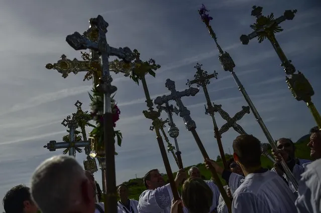 Penitents holds their crosses  during spring “Romeria Cruceros de Arce”, while they walk alongside Villanueva de Arce and Roncesvalles northern Spain Sunday, May 10, 2015. (Photo by Alvaro Barrientos/AP Photo)