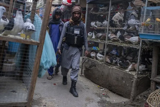 Taliban fighters patrol at a bird market in Kabul, Afghanistan, Tuesday, November 16, 2021. (Photo by Petros Giannakouris/AP Photo)