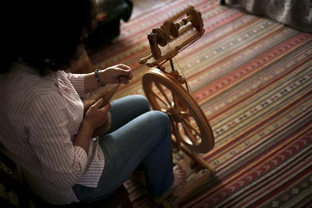 Lisa Vella-Gatt, 46, processes the wool of alpacas at her house in Benfeita, Portugal May 11, 2015. (Photo by Rafael Marchante/Reuters)