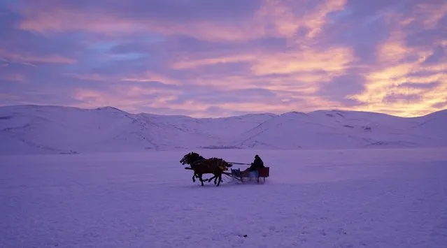A man rides a horse-drawn carriage on the frozen Cildir lake in Kars province, eastern Turkey, February 5, 2016. (Photo by Umit Bektas/Reuters)