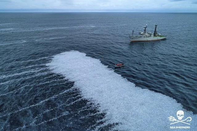 In this photo provided by Sea Shepherd on Saturday February 5, 2022, activists approach a spill of dead fish in the Bay of Biscay, off La Rochelle, western France on Thursday Feb.3, 2022. France's maritime minister has ordered an investigation after environmental group Sea Shepherd released video and photos of a massive dump of fish in the Atlantic. The images show swarms of fish in the Bay of Biscay off the southwest France. The reason for the dump is unclear. (Photo by Sea Shepherd via AP Photo)