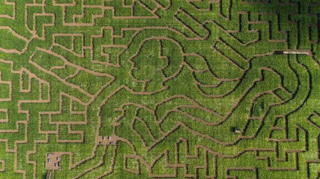 A view of Wistow Maze in Leicestershire, UK inspired by heptathlete Katarina Johnson-Thompson and in the shape of a javelin thrower, ahead of the Olympics in Paris on Tuesday, July 23, 2024. The Opening Ceremony of the Paris 2024 Olympic Games takes place on Friday 26th July, along the River Seine. (Photo by Jacob King/PA Images via Getty Images)