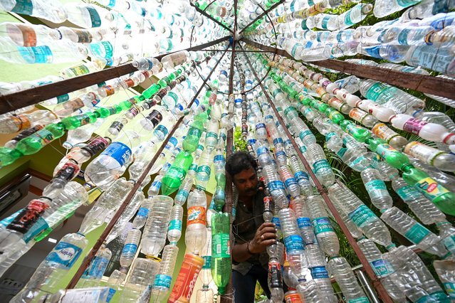 A man arranges used plastic bottles for an installation, in Chennai on September 6, 2024. (Photo by R.Satish Babu/AFP Photo)