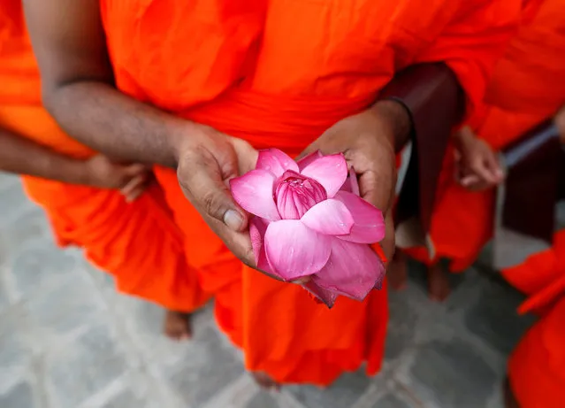 A newly ordained Buddhist monk holds a flower while praying during a ceremony of Upasampada, Buddhist rite of higher ordination, by which a novice becomes a monk, or bhikhu at a Buddhist temple in Colombo, Sri Lanka June 15, 2016. (Photo by Dinuka Liyanawatte/Reuters)