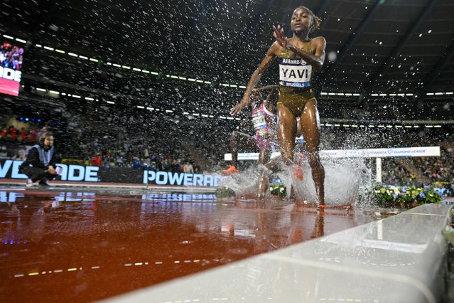 Bahrain's Winfred Mutile Yavi competes in the Women's 3000m Steeplechase final of the Memorial Van Damme Diamond League athletics finals at the Roi Baudouin Stadium in Brussels on September 14, 2024. (Photo by Nicolas Tucat/AFP Photo)