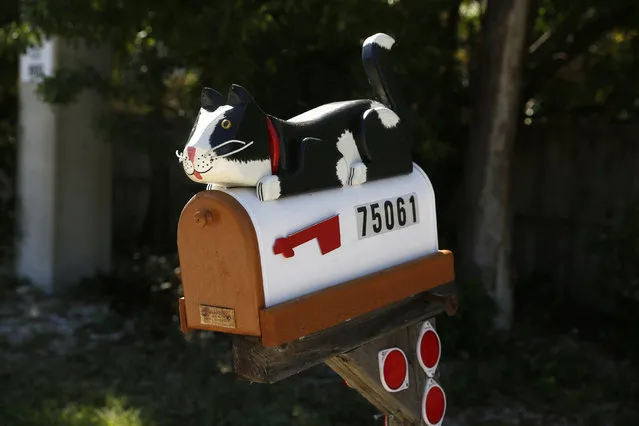 A mailbox decorated with a model cat is seen along the highway US-1 near Islamorada in Florida, July 11, 2014. (Photo by Wolfgang Rattay/Reuters)