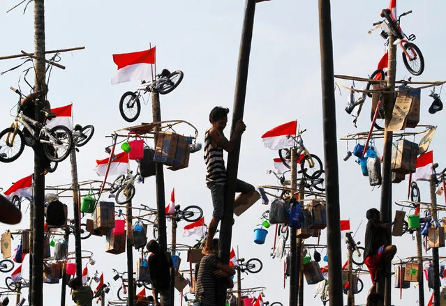 Participants climb greased poles to collect prizes during a “Panjat Pinang” event organised in celebration of Indonesia's 71st Independence day in Jakarta, Indonesia August 17, 2016. (Photo by Iqro Rinaldi/Reuters)