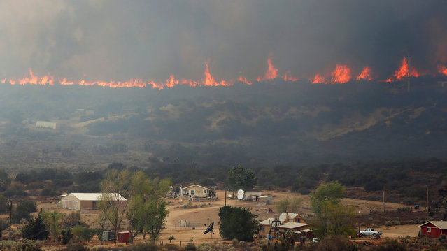 The Blue Cut fire burns near a residential area in Phelan, California U.S., August 17, 2016. (Photo by Mario Anzuoni/Reuters)
