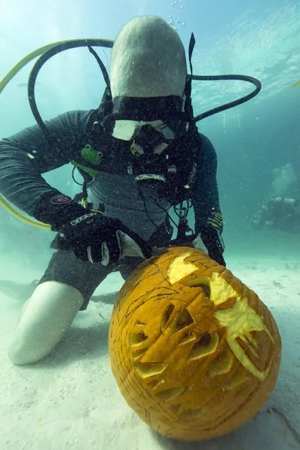 Dan Minnick pares a pumpkin at the Underwater Pumpkin Carving Contest in the Florida Keys National Marine Sanctuary off Key Largo, Florida, October 19, 2014 in this handout photo provided by the Florida Keys News Bureau. (Photo by Bob Care/Reuters/Florida Keys News Bureau)