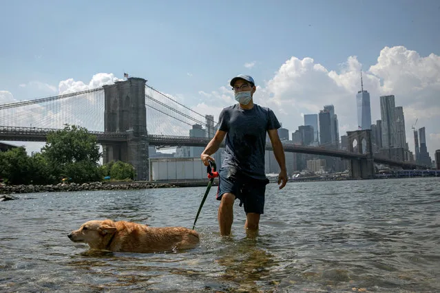 A man cools off with his dog in the East River on a hot summer day in Brooklyn Bridge Park in the Brooklyn borough of New York, U.S., August 10, 2020. (Photo by Brendan McDermid/Reuters)