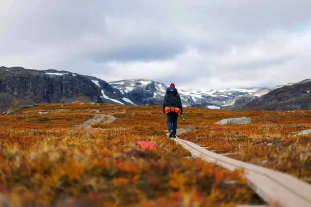 A hiker makes his way along King's Trail (Kungsleden) hiking route, during autumn in Lapland, near Abisko, Sweden on September 10, 2022. (Photo by Lisi Niesner/Reuters)