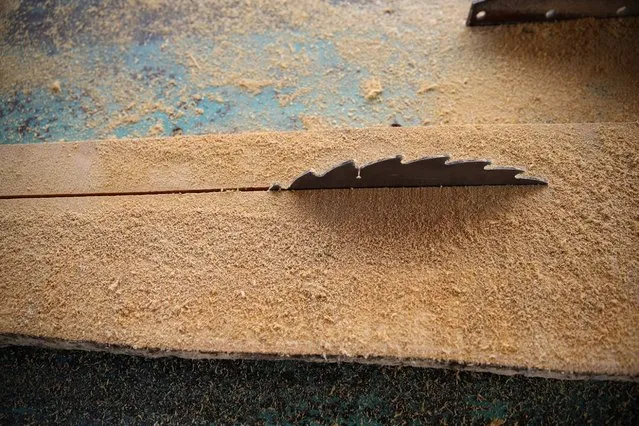 A saw blade cuts through a plank at a sawmill near an unreserved forest in Igede-Ekiti township, southwest Nigeria, August 18, 2014. (Photo by Akintunde Akinleye/Reuters)