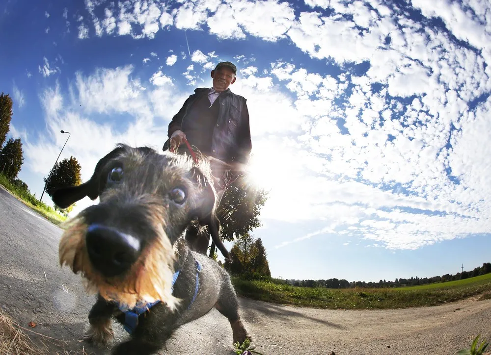 The Day in Photos – September 30, 2016