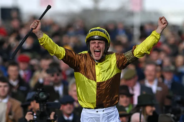 Jockey Paul Townend celebrates as he returns to the winner's enclosure on Galopin Des Champs after victory in the Cheltenham Gold Cup Chase race on the final day of the Cheltenham Festival at Cheltenham Racecourse, in Cheltenham, England on March 17, 2023. (Photo by Glyn Kirk/AFP Photo)
