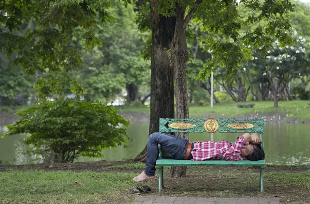 A man naps on a bench in Lumpini Park Bangkok, Thailand, Thursday, June 8, 2017. Lumpini Park, which lies in the heart of Bangkok's busy business district, is a main recreation area for residents as well as for visitors. (Photo by Gemunu Amarasinghe/AP Photo)