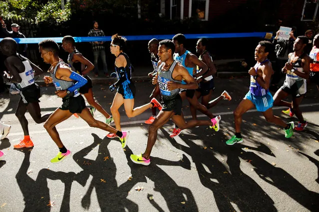 Elite men's runners compete in the 2016 New York City Marathon in the Brooklyn borough of New York City, New York, U.S. November 6, 2016. (Photo by Eduardo Munoz/Reuters)